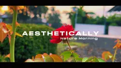 Cinematic 8 Klip Aes
