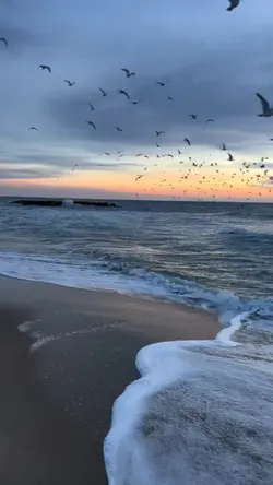 FÉRIAS 