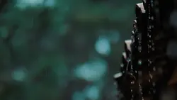 RAIN VIBES