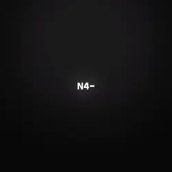 N4Z1S RAUS