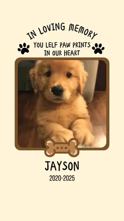 Dog rip