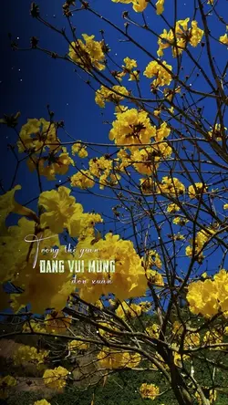 Tâm Sự Nàng Xuân