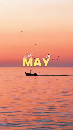 Life in May