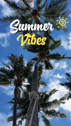 SUMMER TURTLE