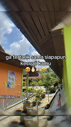 no mirror versi
