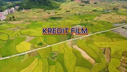 kredit film rolling 