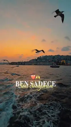 Sadece Seni Seviyorm
