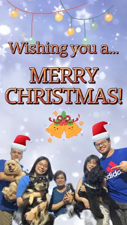 Christmas Greetings