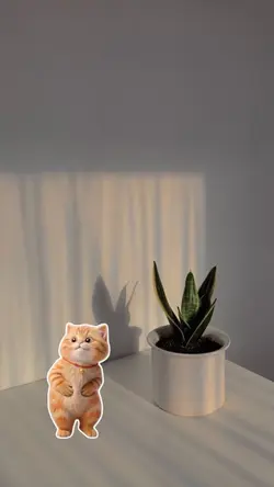 DANCE WITH CAT