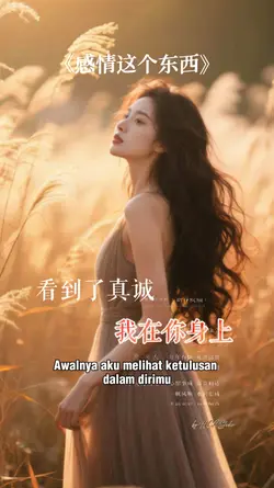 感情这个东西