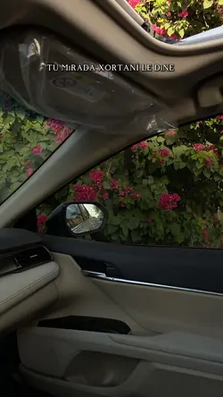 كردي🤎تيك توك
