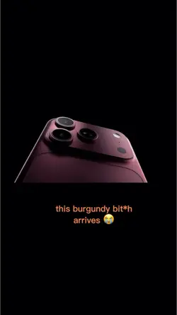 burgundy bit*h😭❤️