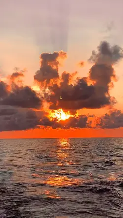 View sunset