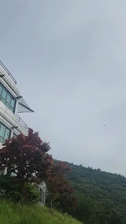 추억 정리