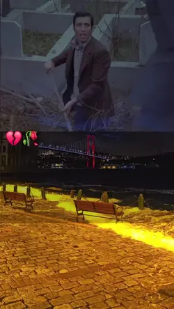 Beni bosver abi