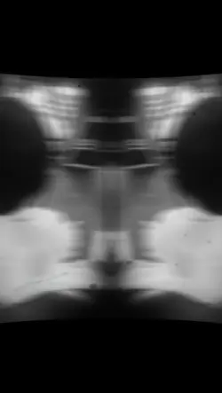 xhxh