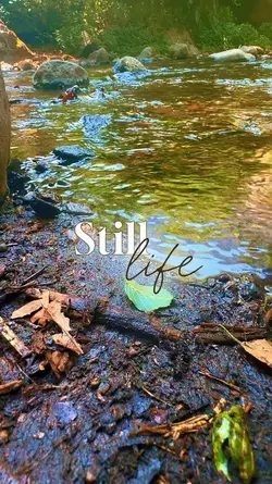 Wild life