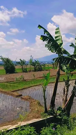 PEMANDANGAN