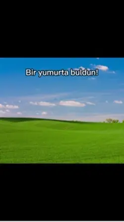 Bir yumurta buldun