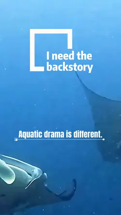 Ocean drama