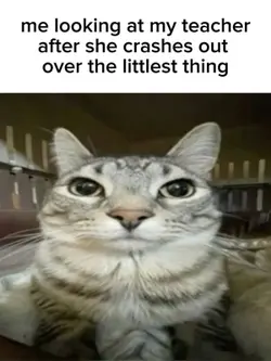 like whats the point