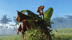 7 CLIP'S AESTHETIC 
