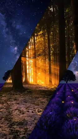 Video template 