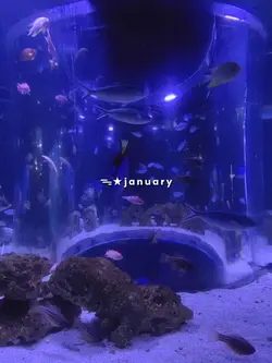 january dump >>>