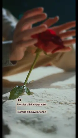 Promise, i love you!