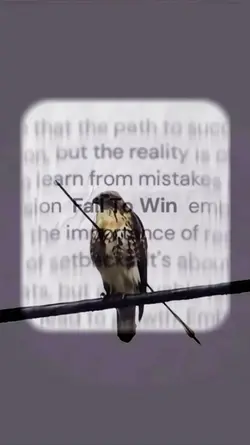 fail to win