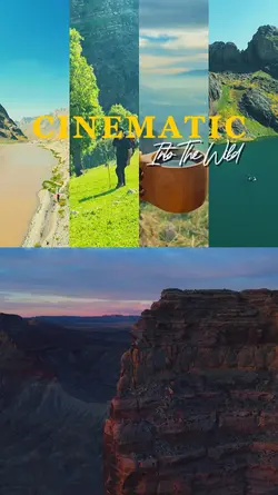 Into the Wild 