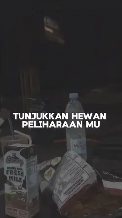 hewan peliharaan