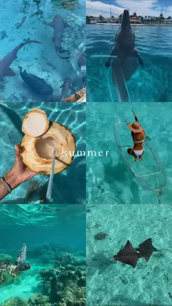 Summer