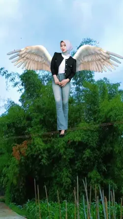 fly with wings