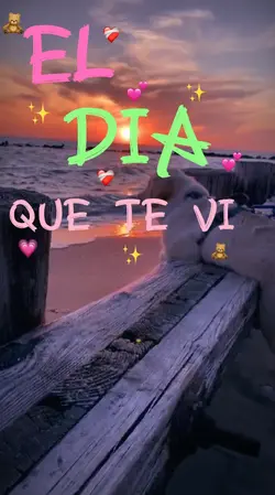 Mi Mascota