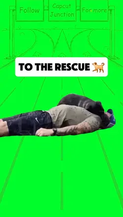To the rescue