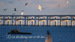 “Lỡ cả đời không rực