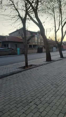 ben uzun boylu japon