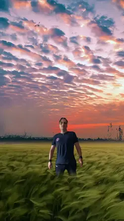 Eagle  nature