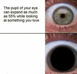 Pupils 