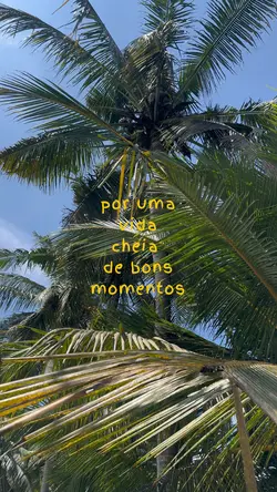momentos videos