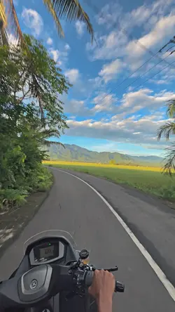 1VID FILTER IP HD