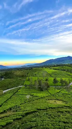 travel nature story