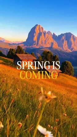 SPRING IS COMING 