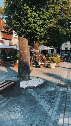Aesthetic