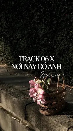 2 ảnh áo dài