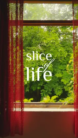 SLICE OF LIFE