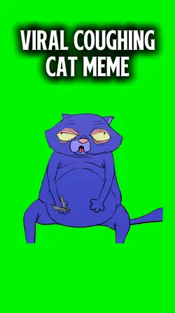 Coughing Cat Meme