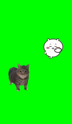 chiikawa x uia cat