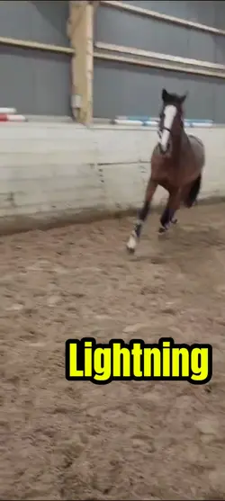 Lightning